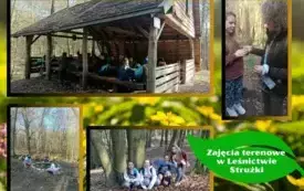 zajęcia terenowe w leśnictwie Strużki (15)