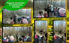 zajęcia terenowe w leśnictwie Strużki (11)