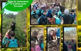 zajęcia terenowe w leśnictwie Strużki (8)