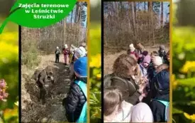 zajęcia terenowe w leśnictwie Strużki (3)