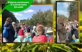zajęcia terenowe w leśnictwie Strużki (2)