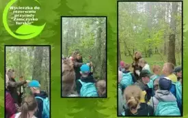 zajęcia terenowe w rezerwacie przyrody _Zamczysko Turskie (4)