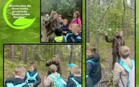 zajęcia terenowe w rezerwacie przyrody _Zamczysko Turskie (5)