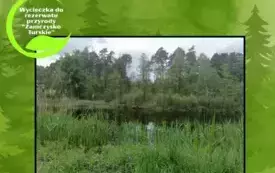 zajęcia terenowe w rezerwacie przyrody _Zamczysko Turskie (12)
