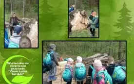 zajęcia terenowe w rezerwacie przyrody _Zamczysko Turskie (9)