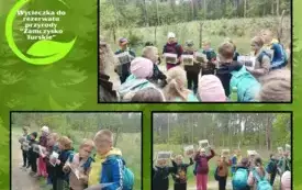 zajęcia terenowe w rezerwacie przyrody _Zamczysko Turskie (10)