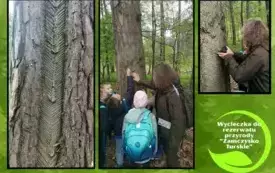 zajęcia terenowe w rezerwacie przyrody _Zamczysko Turskie (8)