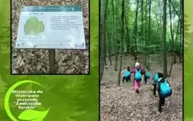 zajęcia terenowe w rezerwacie przyrody _Zamczysko Turskie (17)