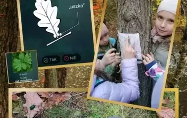 Fotorelacja z wyjazdu terenowego do Golejowa grup 1, 2, 3 3