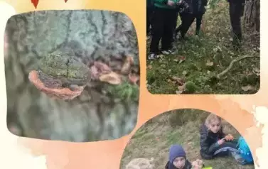 Fotorelacja z wyjazdu terenowego do Golejowa grup 1, 2, 3 10