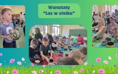 Las w słoiku7