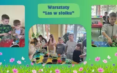 Las w słoiku6