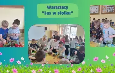 Las w słoiku5