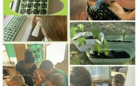 ZAKOŃCZENIE II EDYCJI PROJEKTU EKOLOGICZNEGO ,, ŚWIETLICOWA FABRYKA TLENU&rdquo; 1