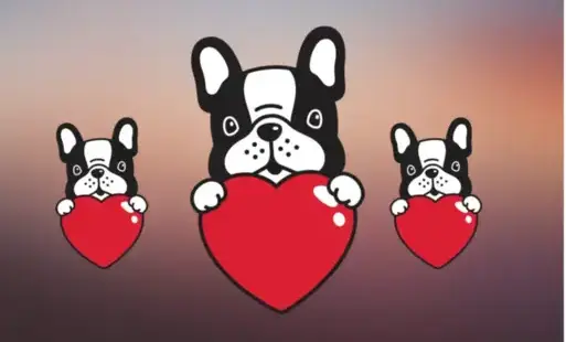 Zdjęcie do Otwórzmy serca dla małych przyjaciół – zbiórka na rzecz schroniska