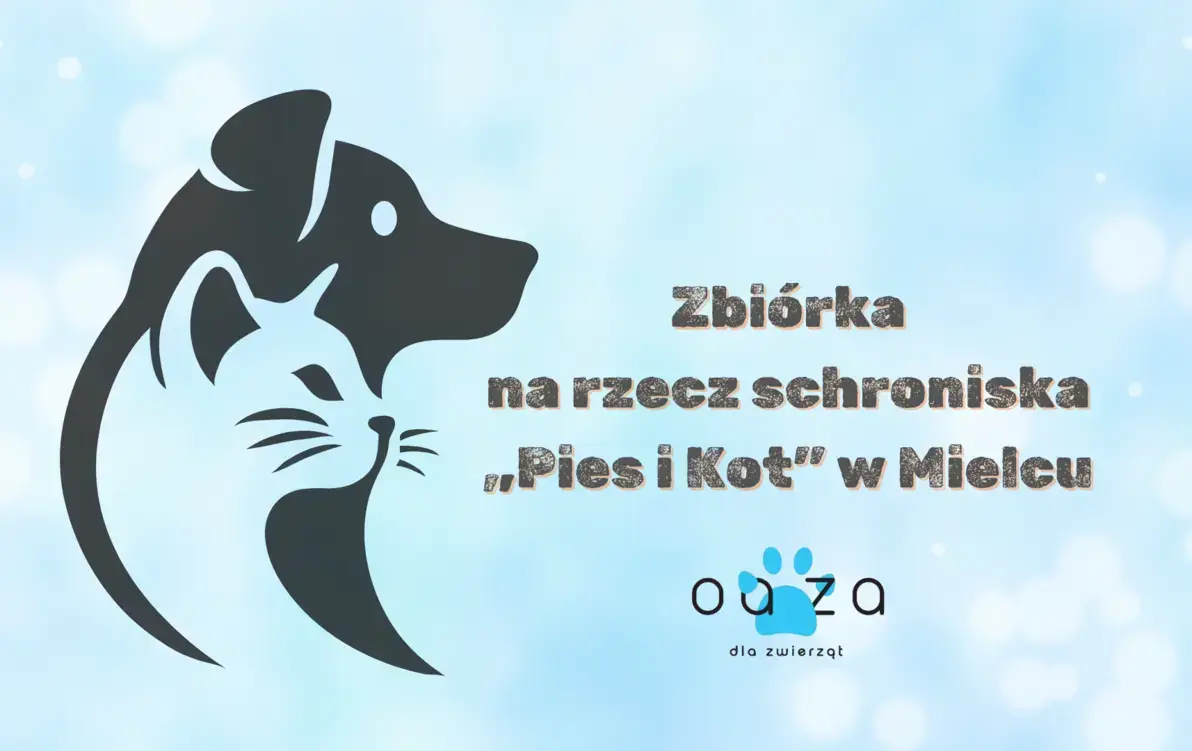 Zdjęcie do Zbi&oacute;rka charytatywna na rzecz schroniska &bdquo;Pies i Kot&rdquo; w Mielcu